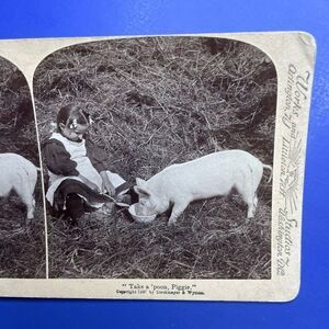 Antique Stereoview Card Underwood &‎ Underwood Take a Poon Piggie Girl Feed Pig